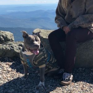 Meet your Posher, Julia